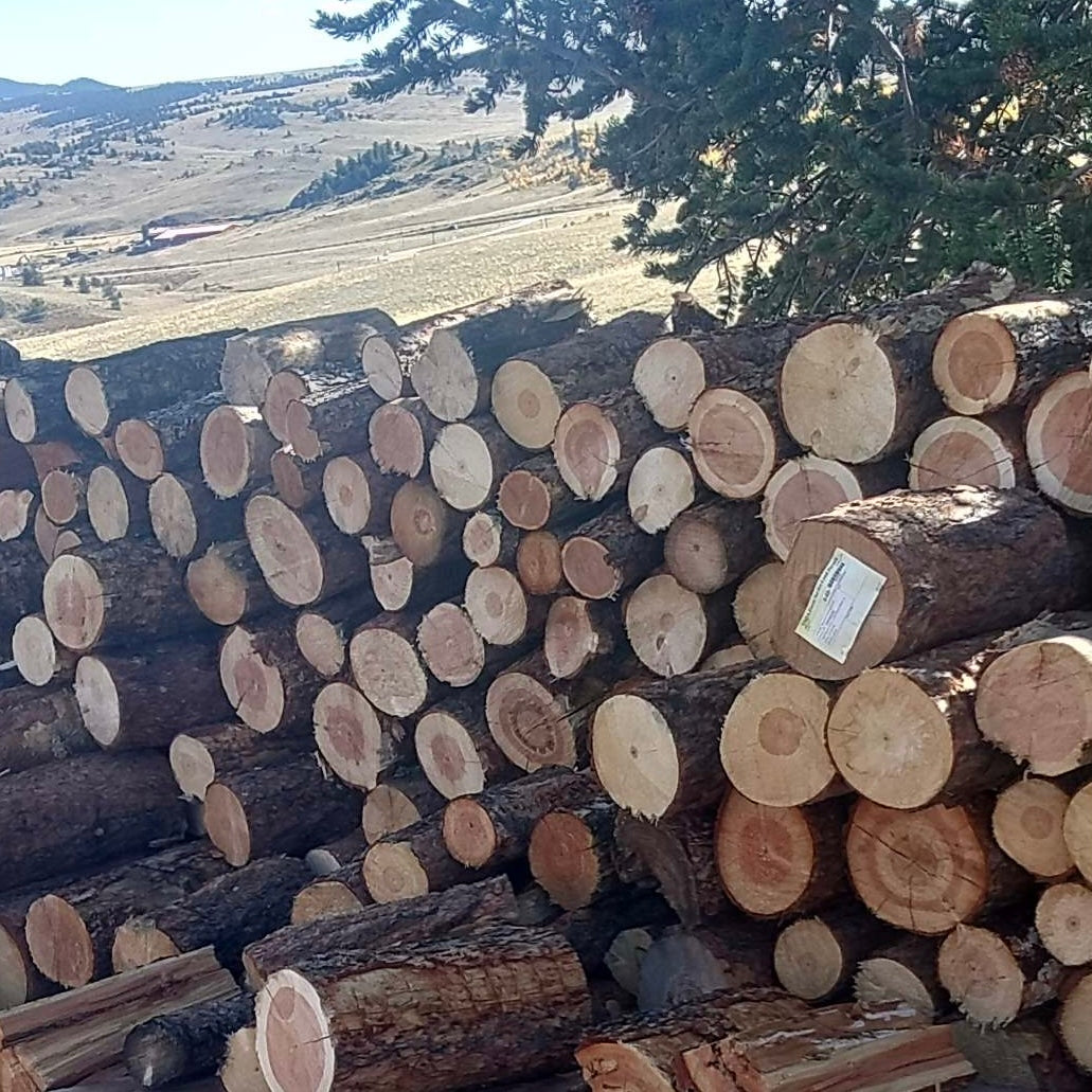 Pine Firewood