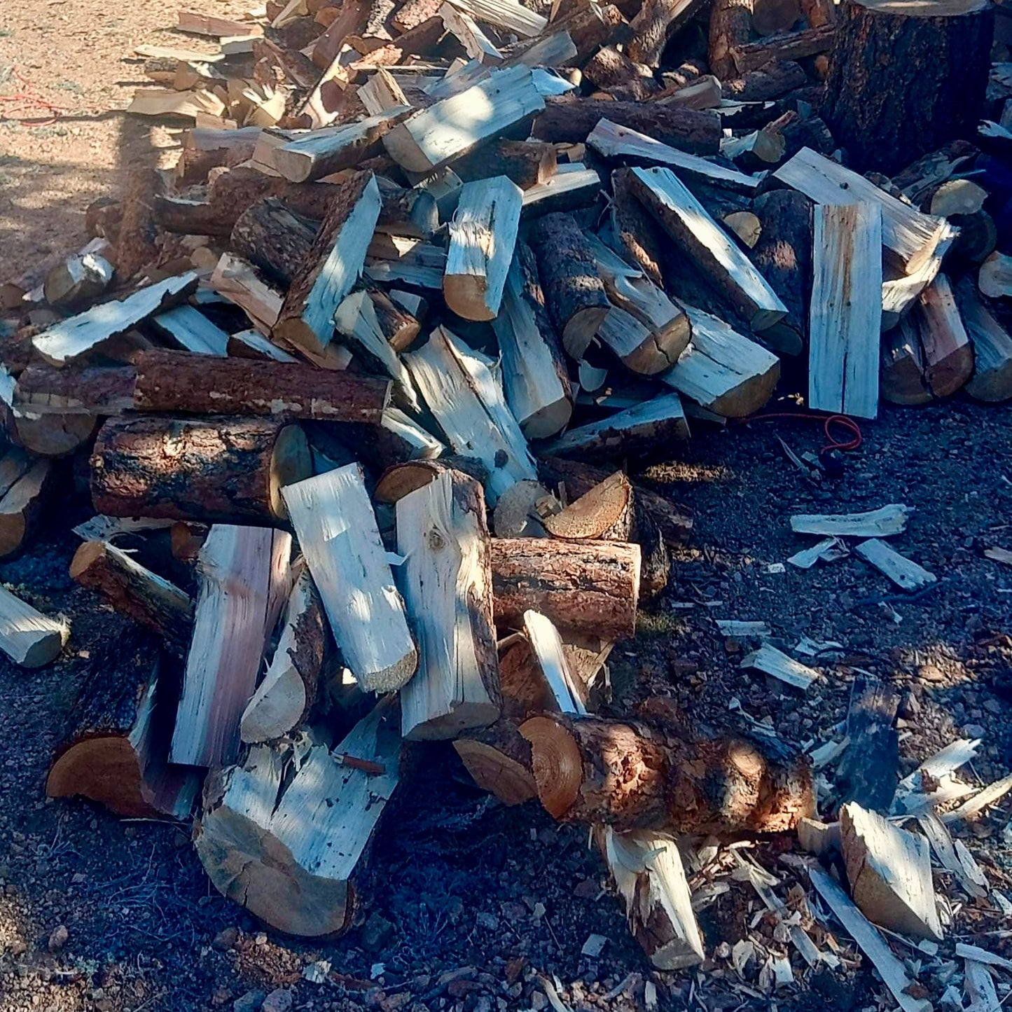 Pine Firewood
